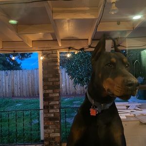 Meet your Posher, Eddy